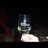 Caving Meets Wine Tasting on a River Cruise in the South of France