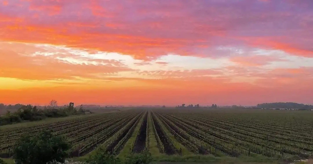 Couples Fall Wine Retreat