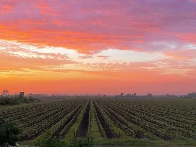 Couples Fall Wine Retreat