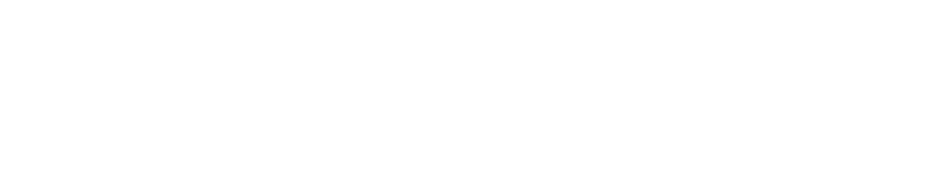 True Voyage Travel