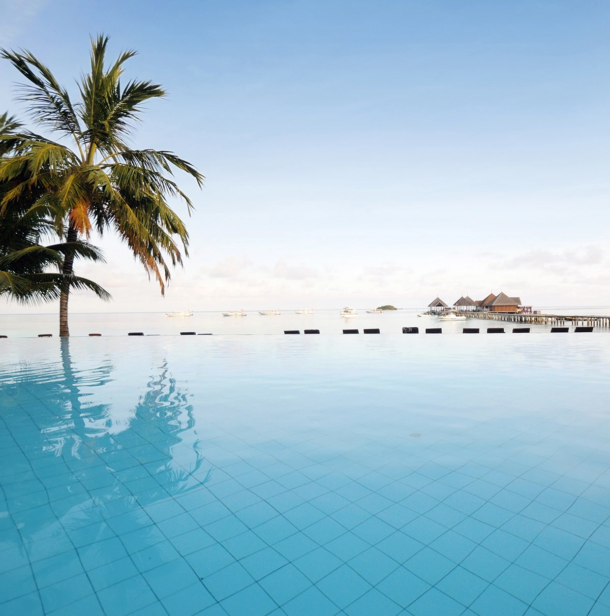 Brenda Falvo Cruises