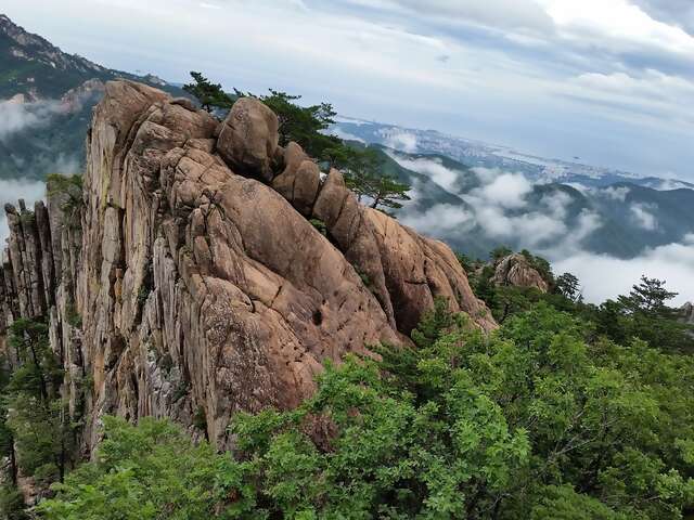 Discover the Best of San Francisco: Top Attractions and Experiences