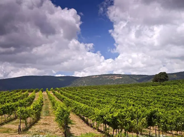 Friday - Golan Heights / Sea of Galilee