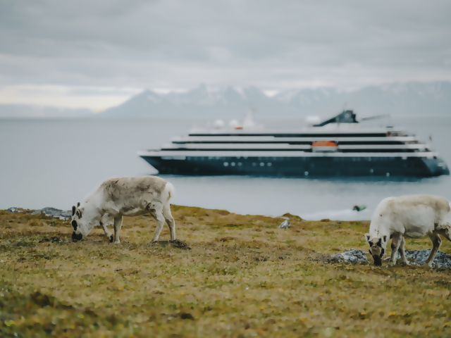 Celebrate Independence Day with Expedition Luxury