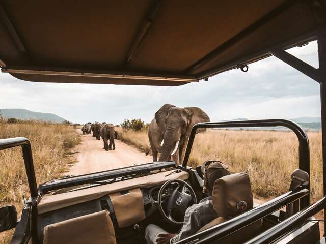 Nine Essential Tips for Planning a Trip to Africa