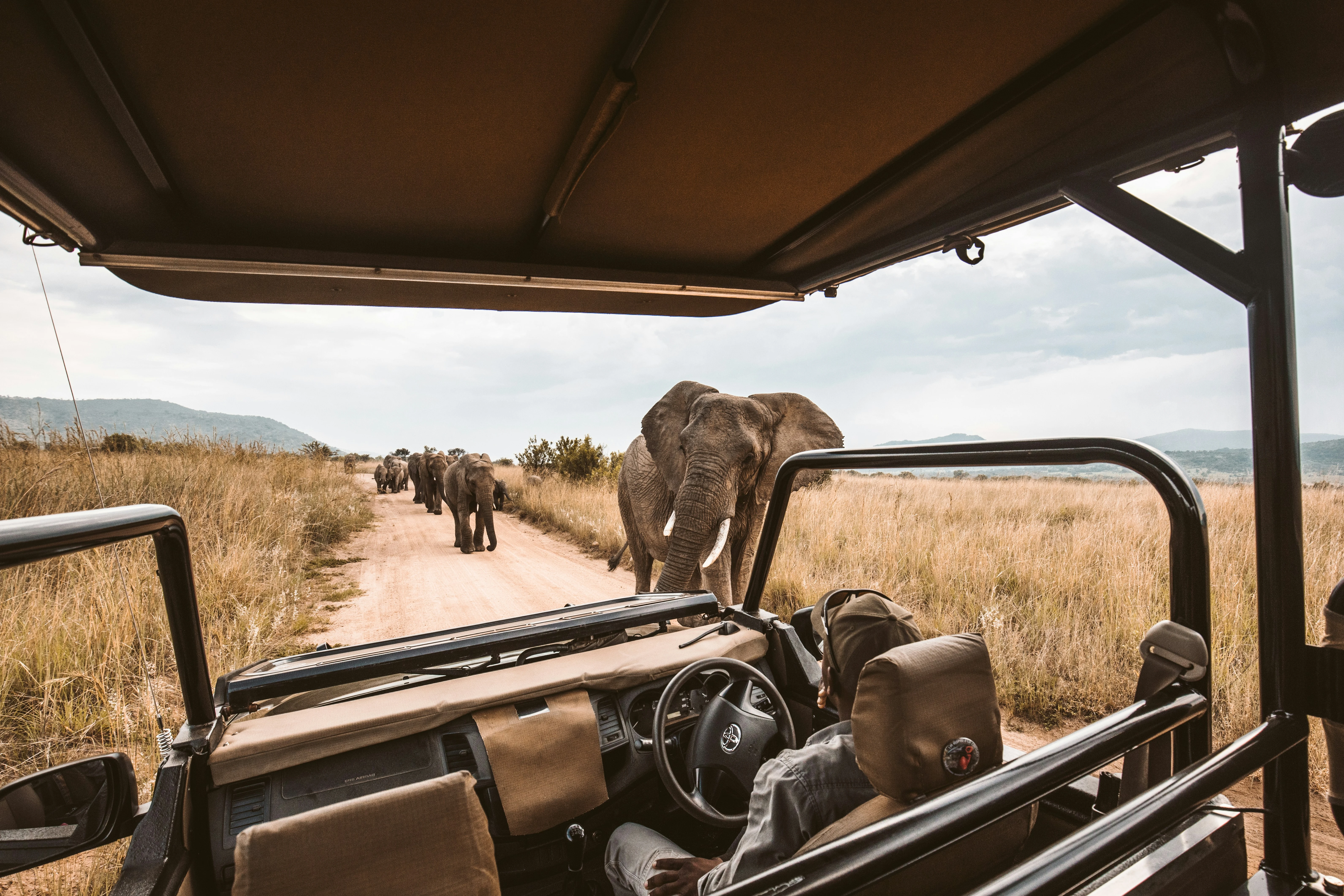 Nine Essential Tips for Planning a Trip to Africa