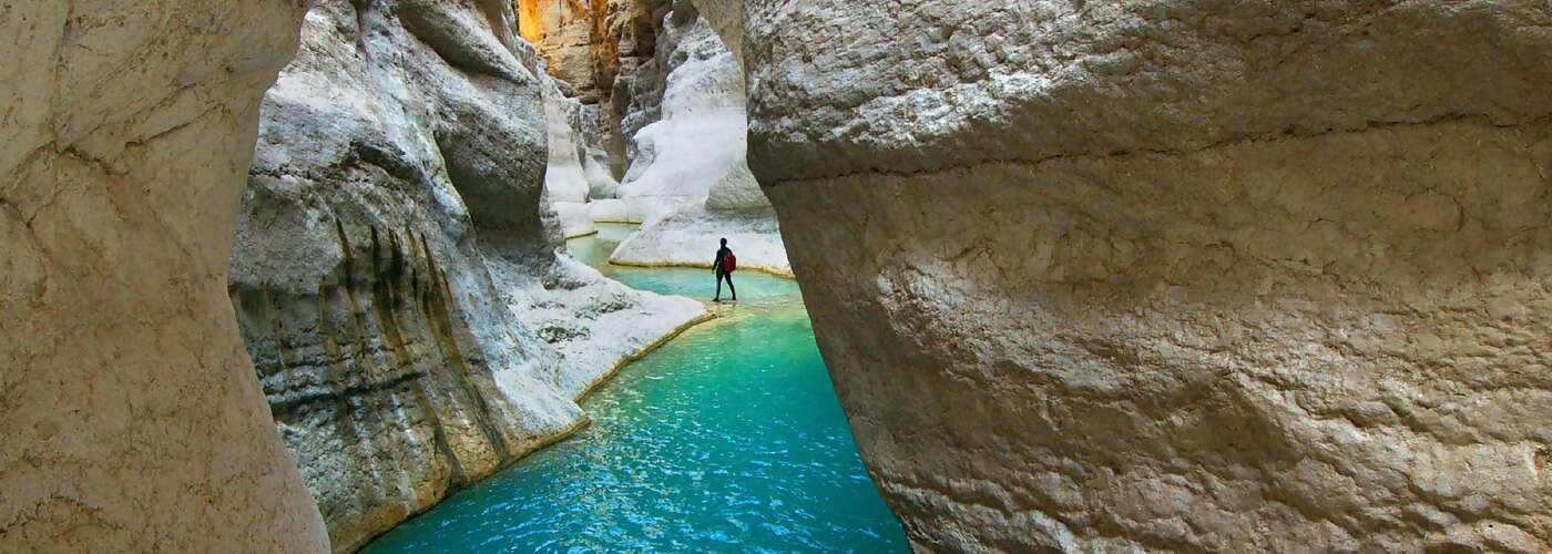 Abdinasir (Nasir) Abdulle