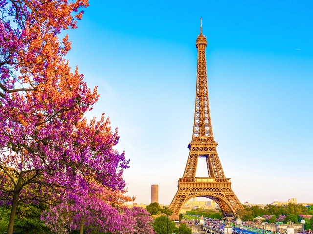 Wine, Culture, and Cuisine: A Journey from Paris to the French Riviera