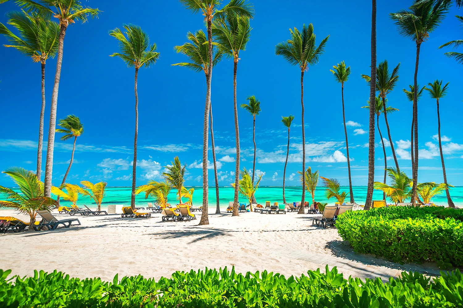 Caribbean