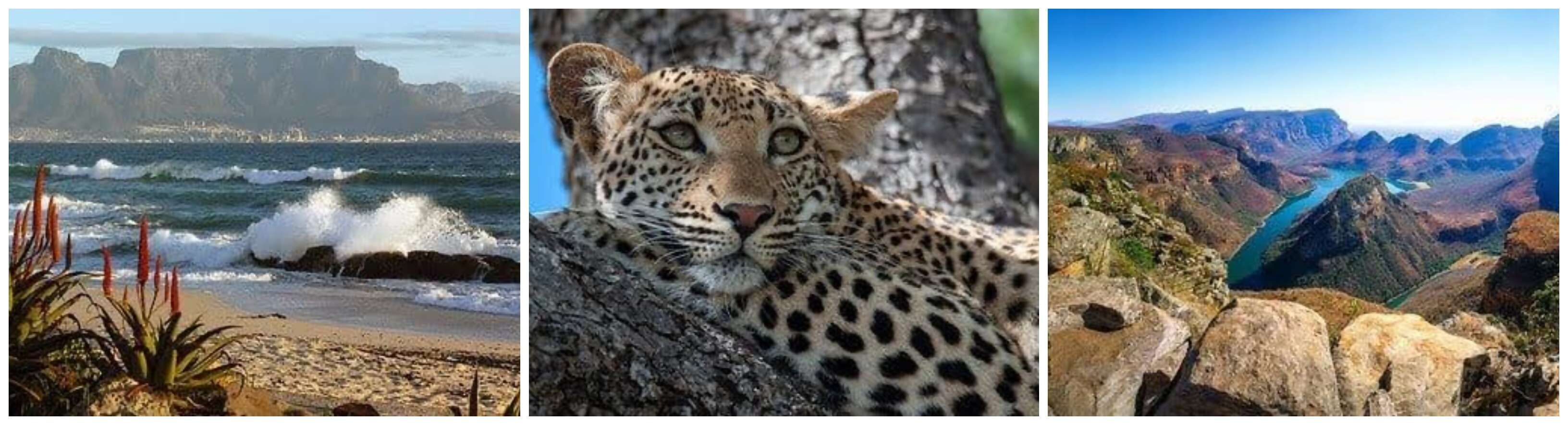 South Africa Encompassed