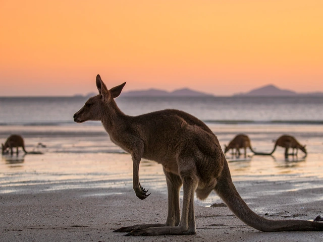Australia