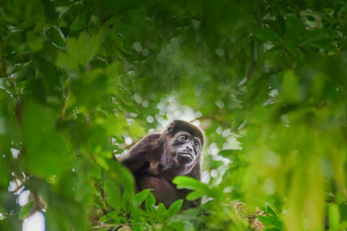 Capurgana and Sapzurro, Colombia