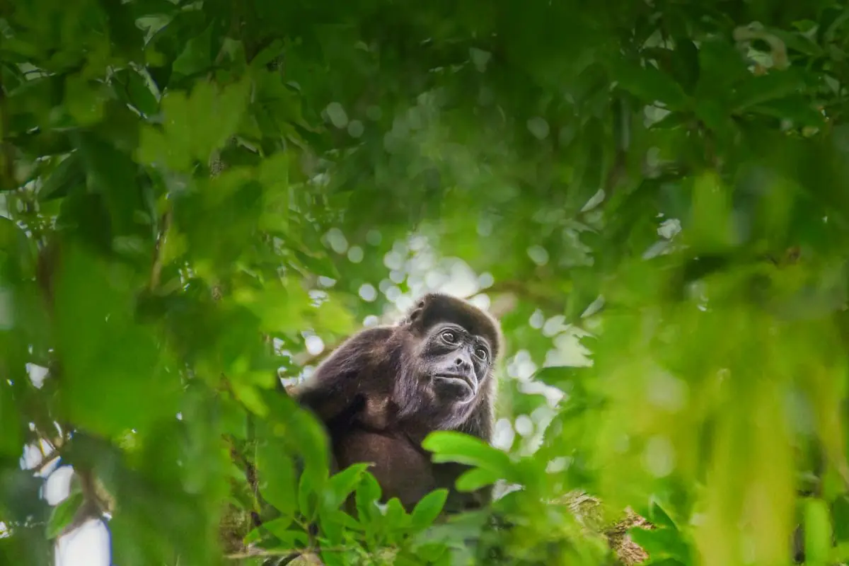 Capurgana and Sapzurro, Colombia