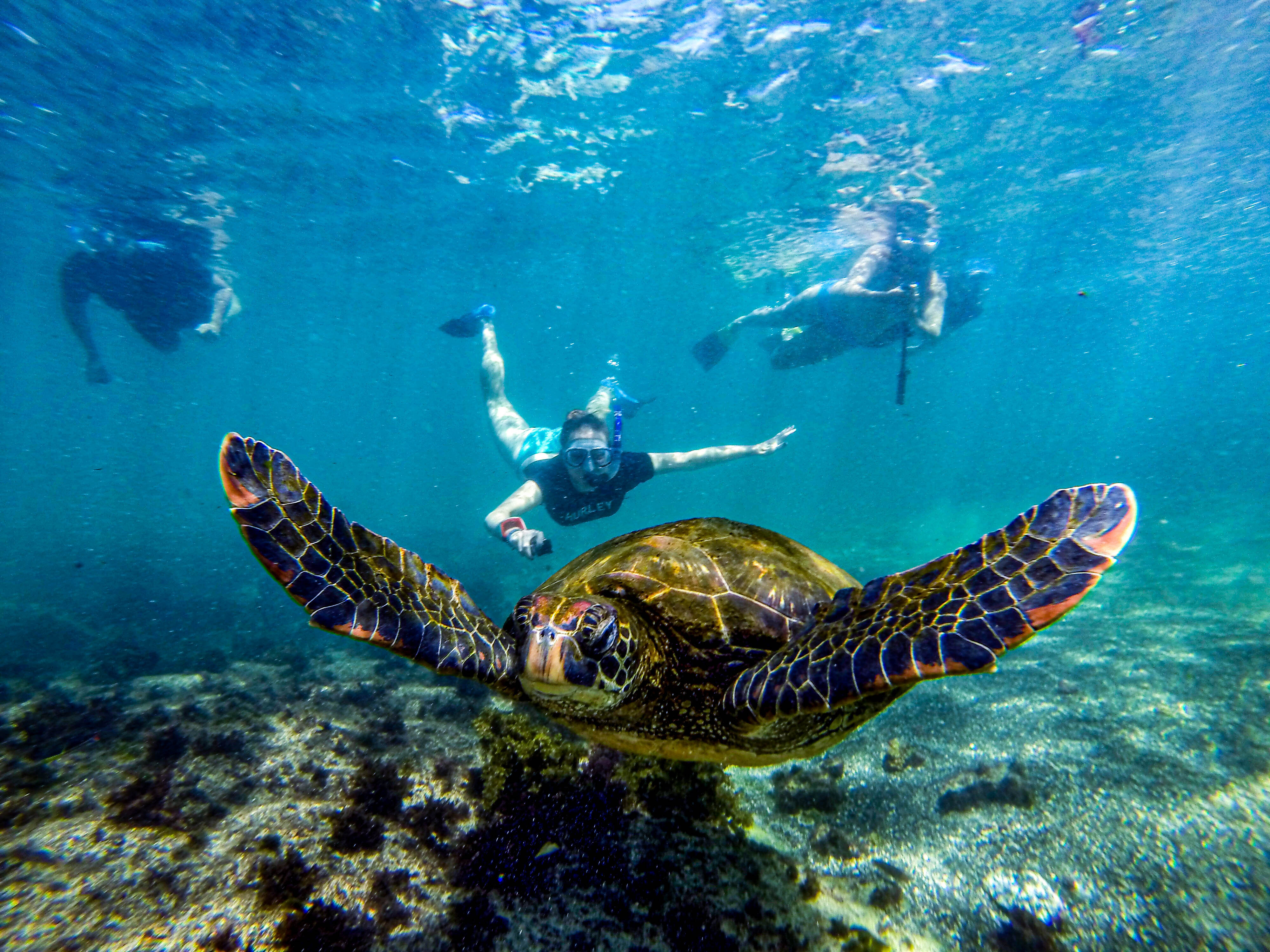 Santa Cruz Island – Galapagos Islands