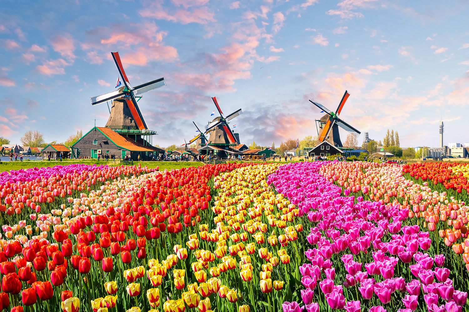 Netherlands-banner.jpg