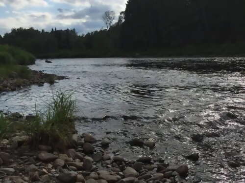 Guided Fly-Fishing Excursion