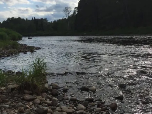 Guided Fly-Fishing Excursion