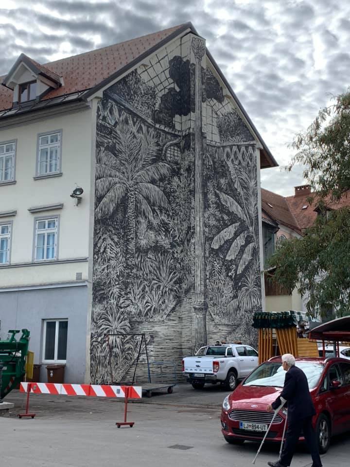 71889623_10157510599157317_8054885948724346880_n smc.jpg