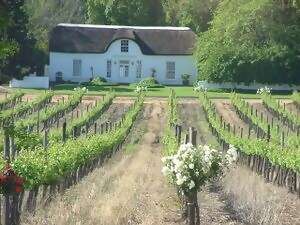 28, March 2026, CAPE WINELANDS