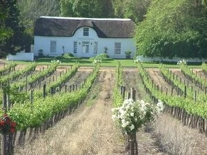28, March 2026, CAPE WINELANDS