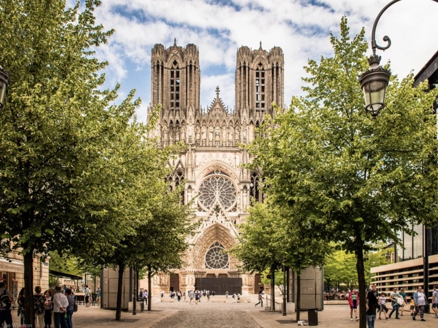 A Day in Champagne from Paris