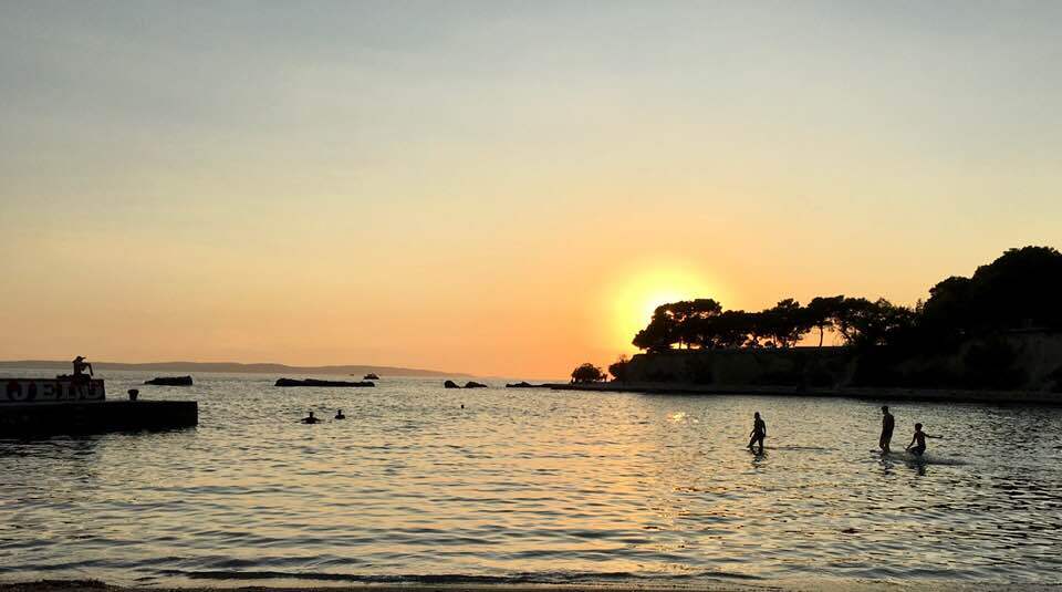 72481571_10162386120990397_4235195580466331648_n tb.jpg