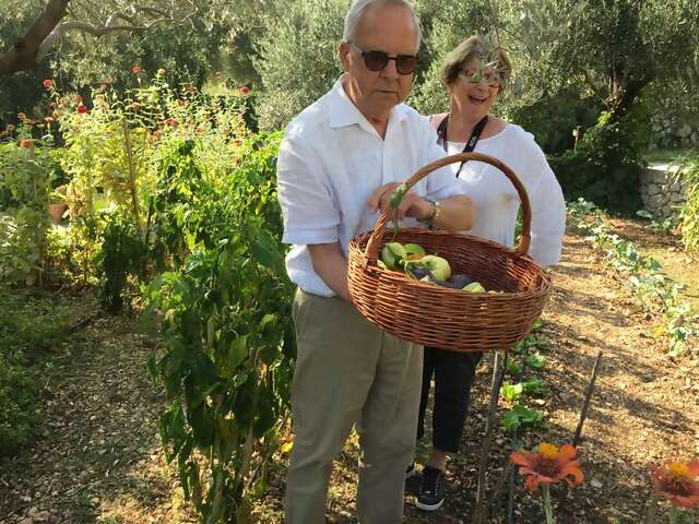 72775460_10157845672134273_2784290206935678976_n BF.jpg