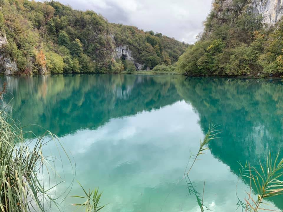 73002096_10157532745412317_6237185944298979328_n smc.jpg