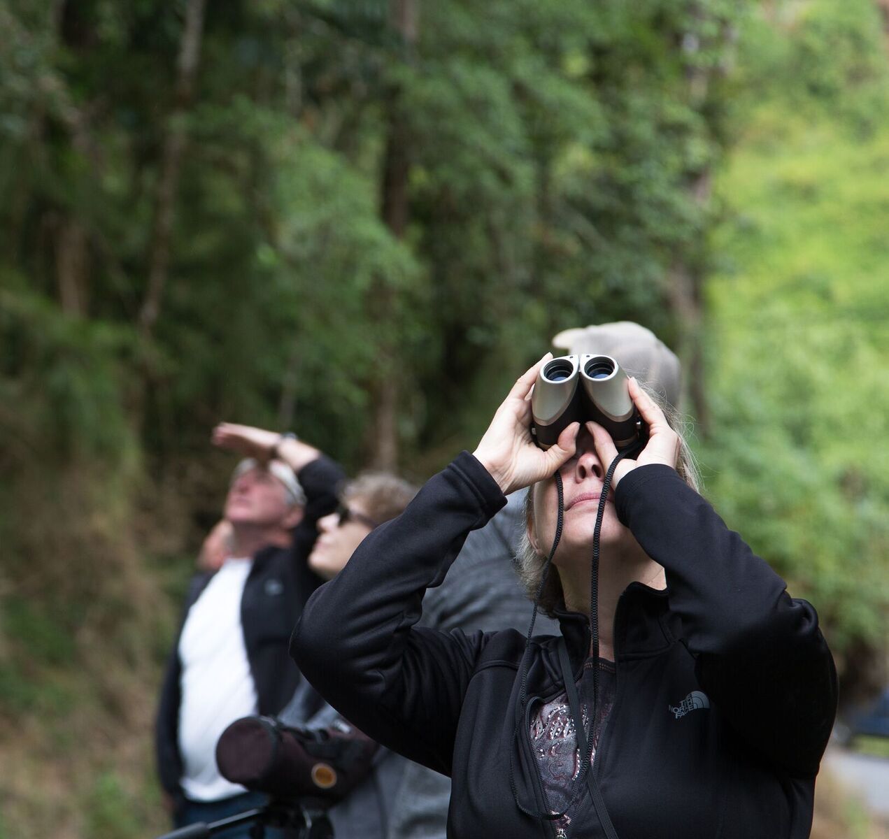 Costa Rica Birdwatching
