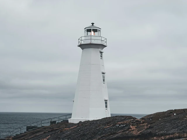 McIntosh Gallery Art & Travel Committee Halifax Sept 27-Oct 1, 2025