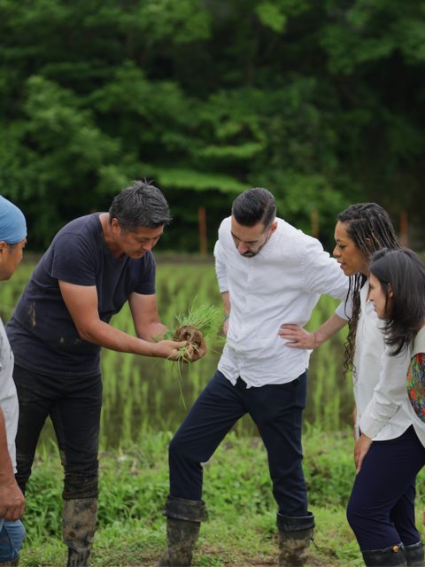 Kensington Tours, Ancestry.com’s Private Personal Heritage Journeys Connect Travelers to their Roots