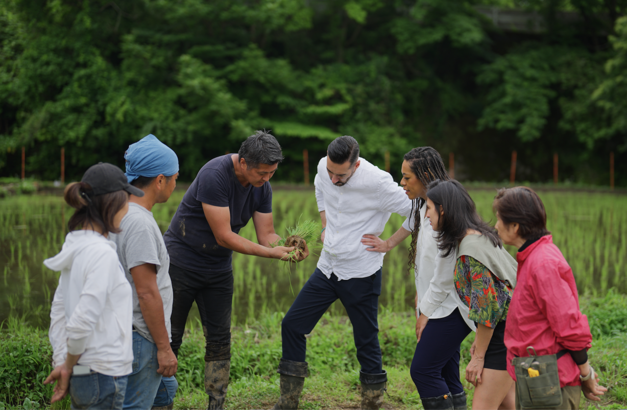 Kensington Tours, Ancestry.com’s Private Personal Heritage Journeys Connect Travelers to their Roots