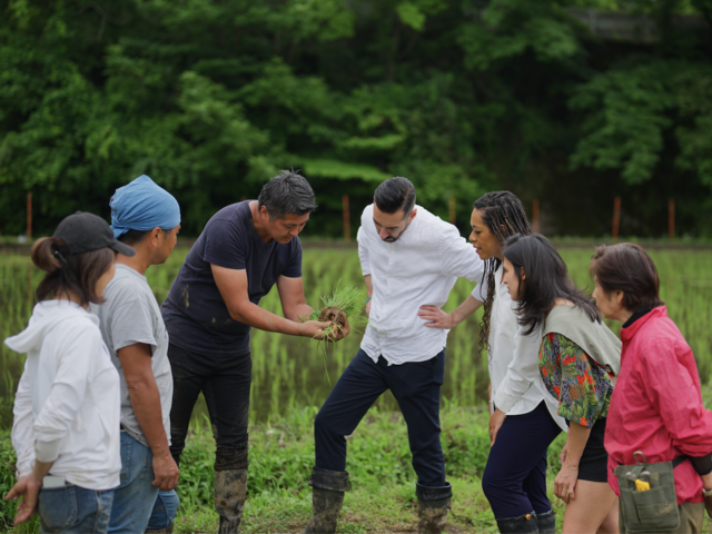 Kensington Tours, Ancestry.com’s Private Personal Heritage Journeys Connect Travelers to their Roots