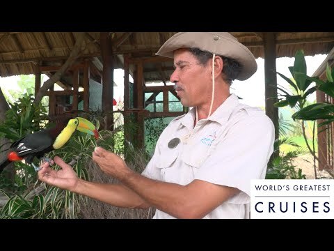 Eco-Friendly: Meet this Cruise Line Private Island's In-House Naturalist