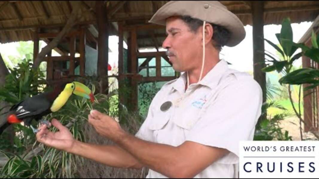 Eco-Friendly: Meet this Cruise Line Private Island's In-House Naturalist