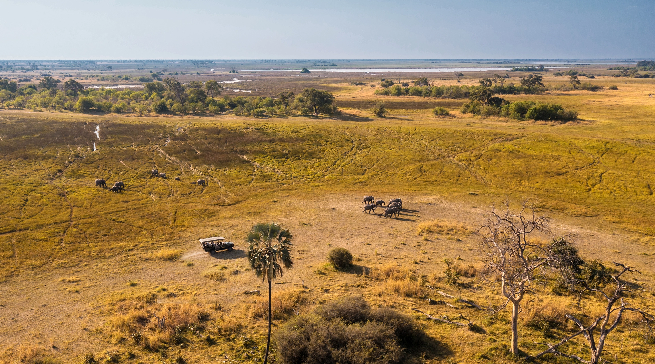 Africa safari