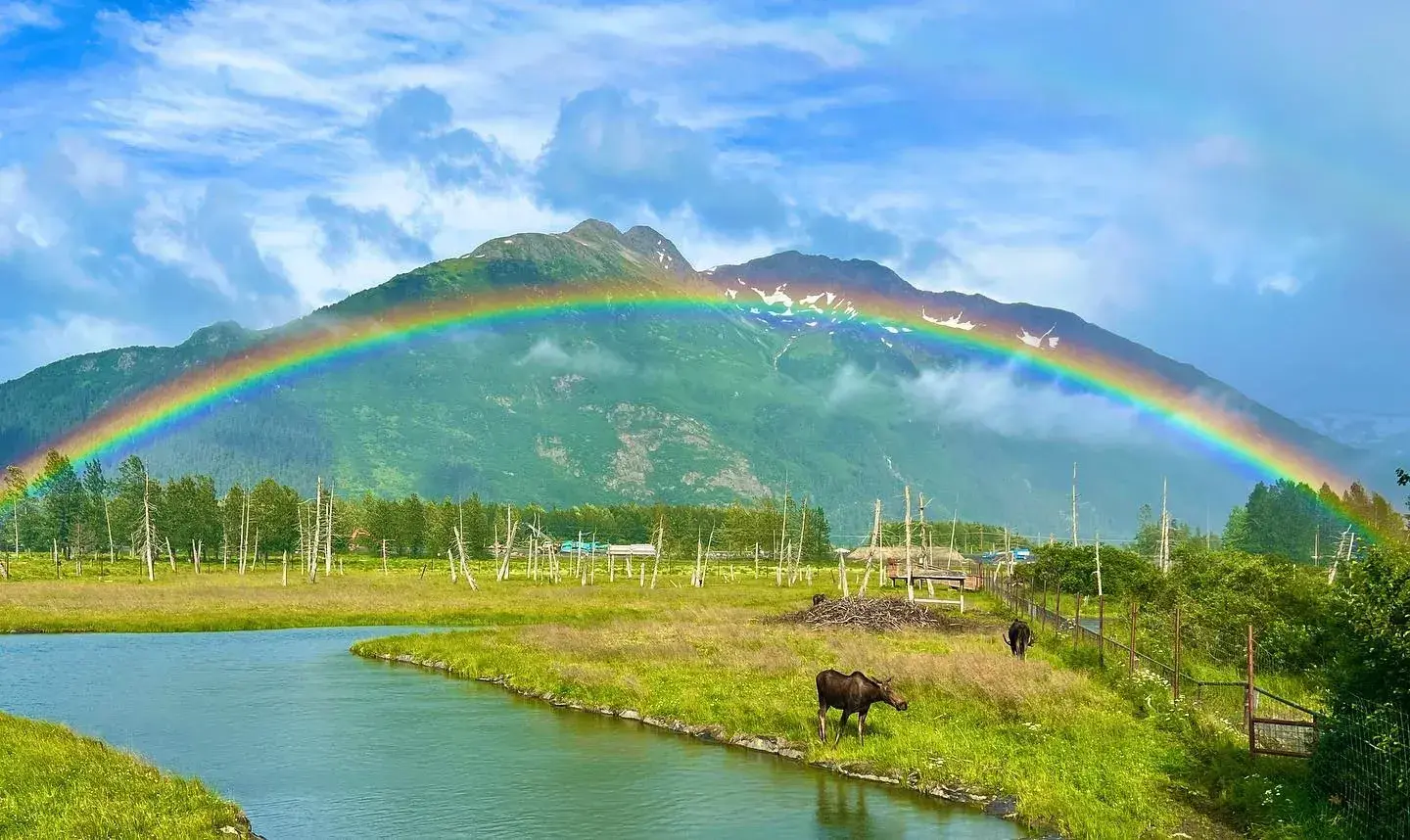 Holland America Introduces New Moose Excursion