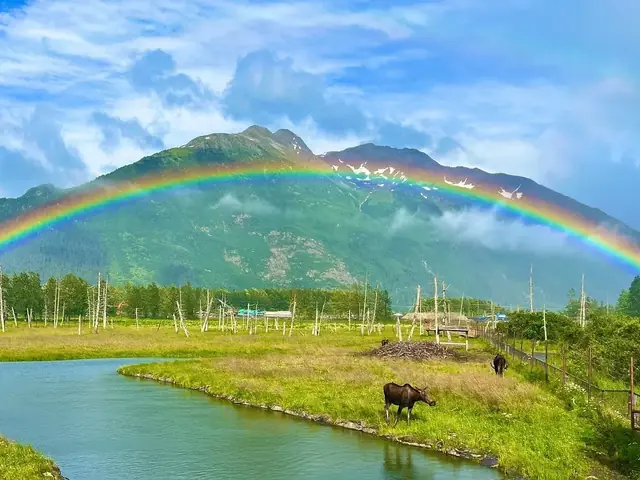 Holland America Introduces New Moose Excursion