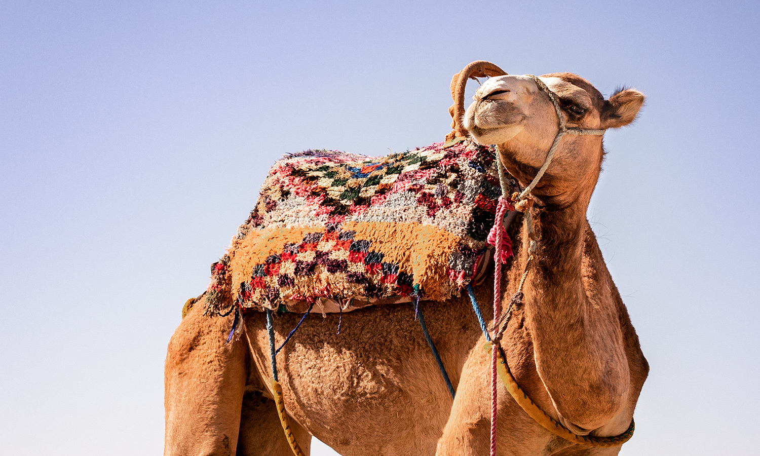 Fit4Travel: Morocco Familiarization Trip