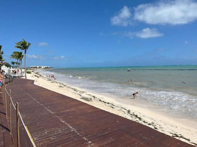 Cancun with Igor 2024