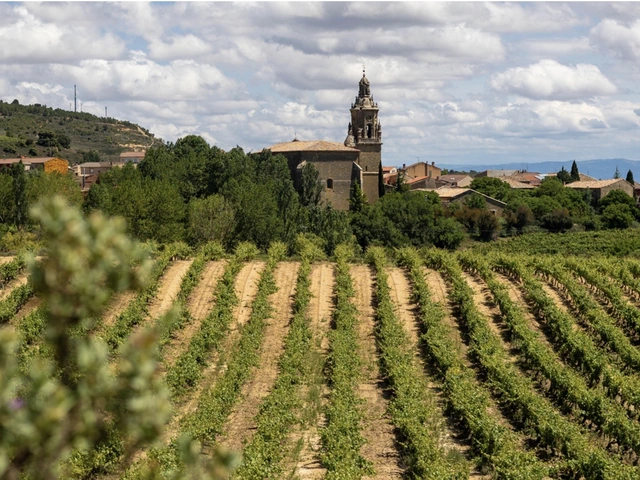 La Rioja Wine and Royalty: Lunch and Wine Tasting in a Private Palace