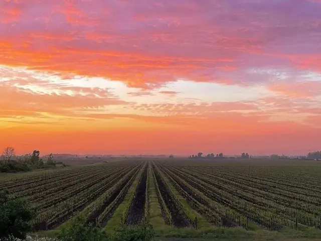Exciting Small Group Trip this fall to Niagara-on-the-Lake!