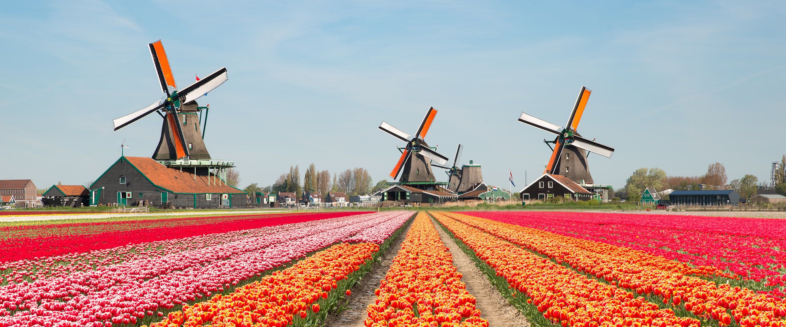 Cruising the Waterways That Shaped the Netherlands & Belgium