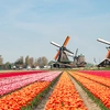 Cruising the Waterways That Shaped the Netherlands & Belgium