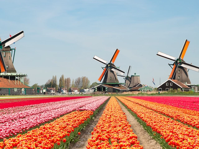 Cruising the Waterways That Shaped the Netherlands & Belgium