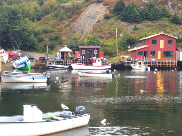 Top Souvenirs from a Cruise Trip to Newfoundland
