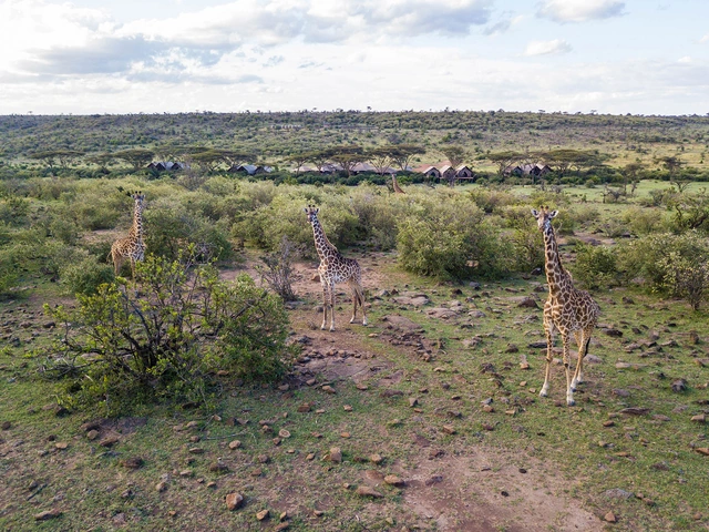Mara Nyika Camp