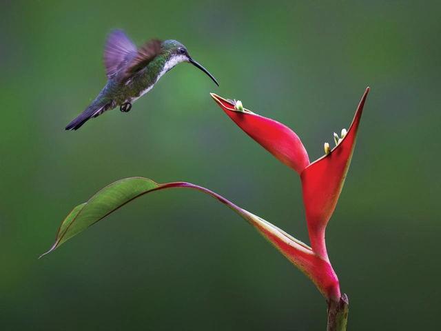 Eyes Wide Open in Costa Rica