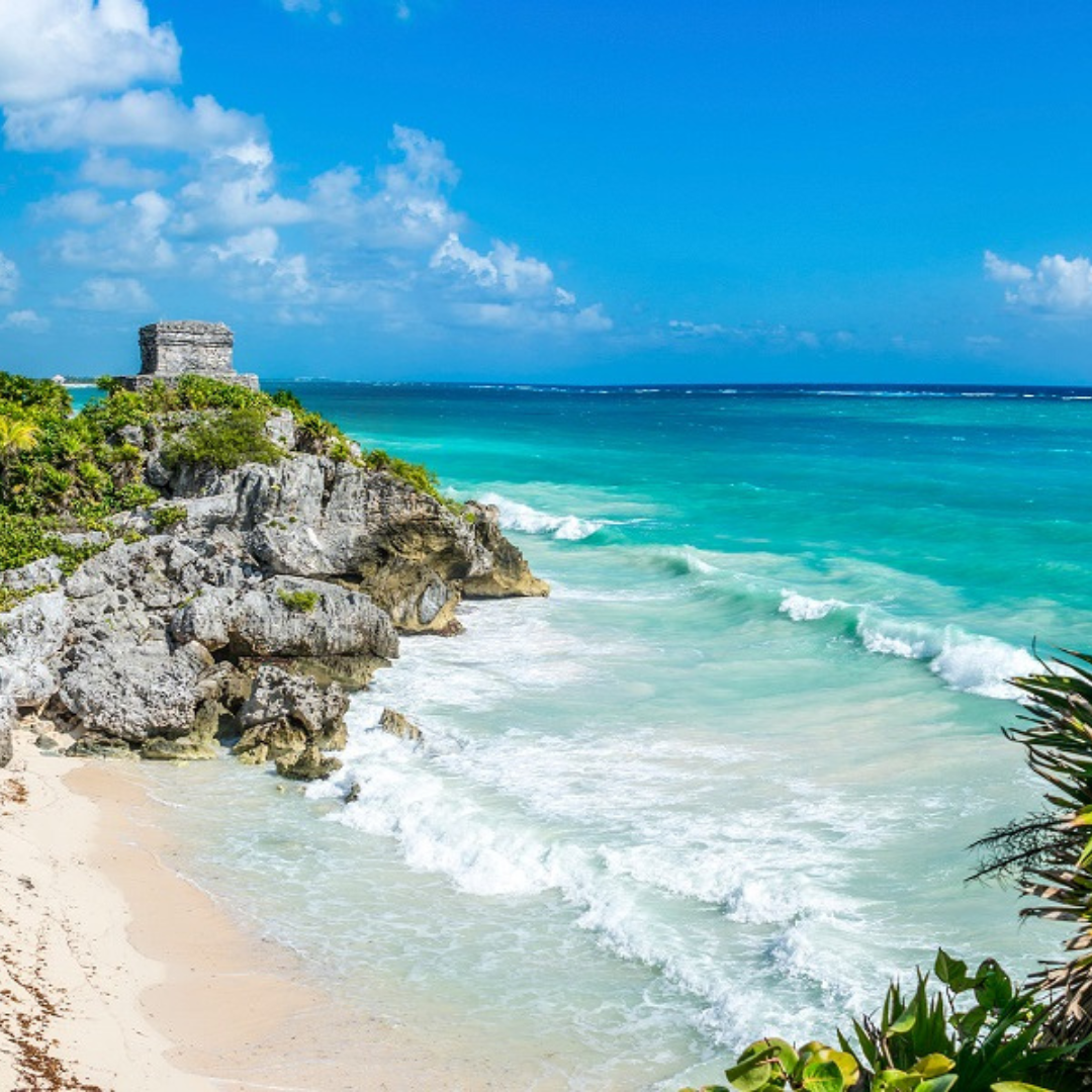 Travel South With Transat