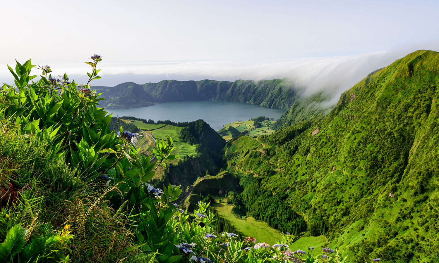 azores06.jpg